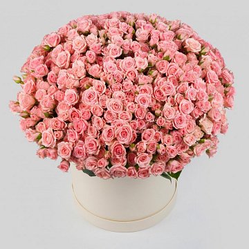Букет в коробке с розами Утренние поцелуи (151 роза)