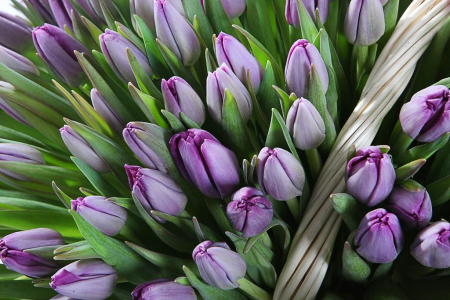 Букет Великая иллюзия в корзине