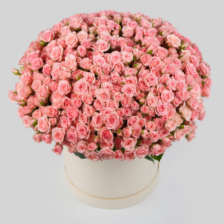 Букет в коробке Утренние поцелуи (151 роза)