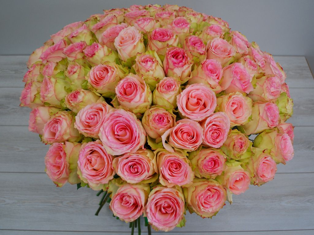 Букет 101 роза Эсперанс