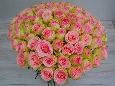 Букет 101 роза Эсперанс