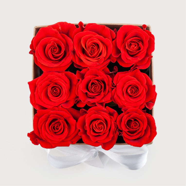 Розы в коробке Девять поцелуев