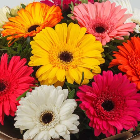 Букет из 11 гербер Акварель