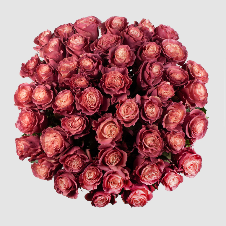 Букет 51 роза Кипение чувств