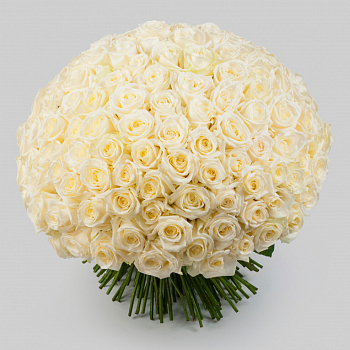 Букет из 151 розы Нежное сердце