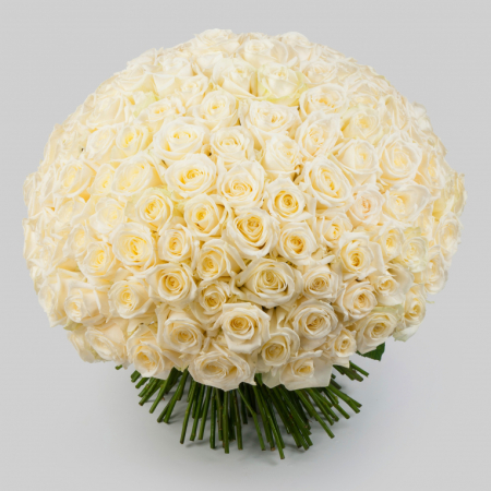 Букет из 151 розы Нежное сердце