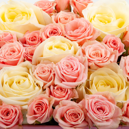 Розы в коробке Нежданное чувство