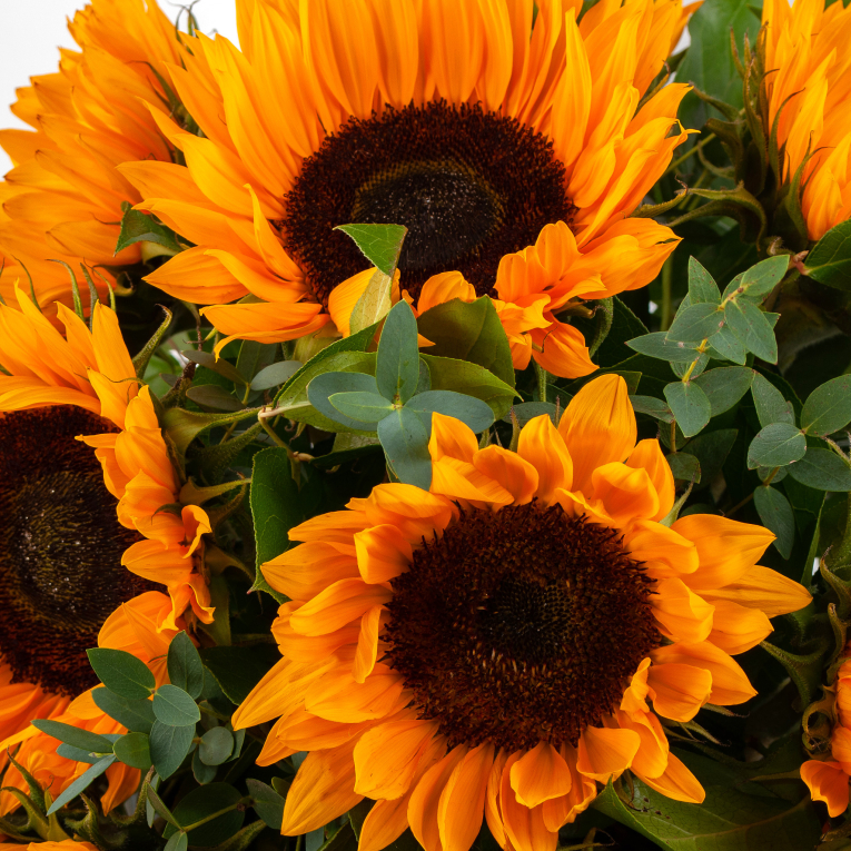 Букет в коробке Летнее золото