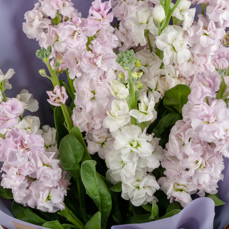 Букет с маттиолой Струны лета