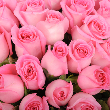 Букет из 101 розы Сердце ангела