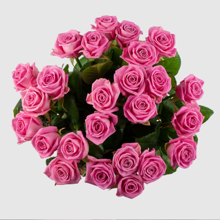 Букет из 25 роз Цвет сердца