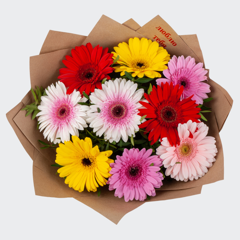 Букет из 9 гербер Цветные звезды