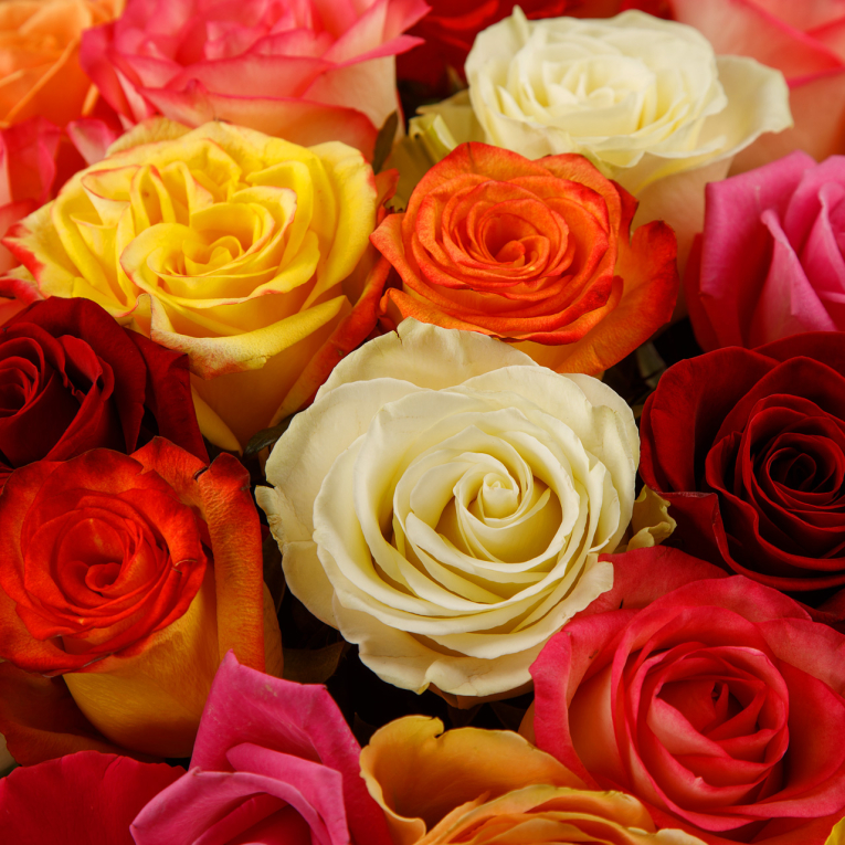 Букет Фламандская легенда (51 роза) в коробке