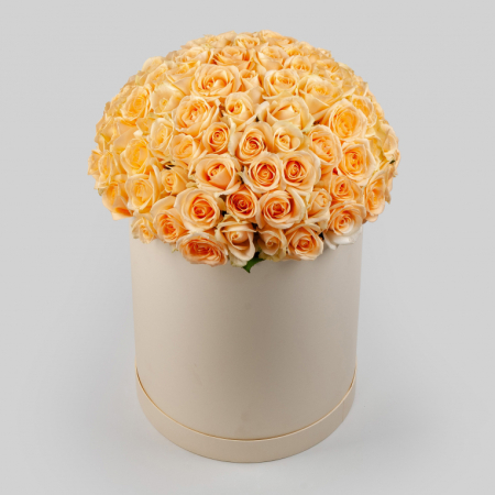 Букет в белой коробке Утренняя соната (101 роза)