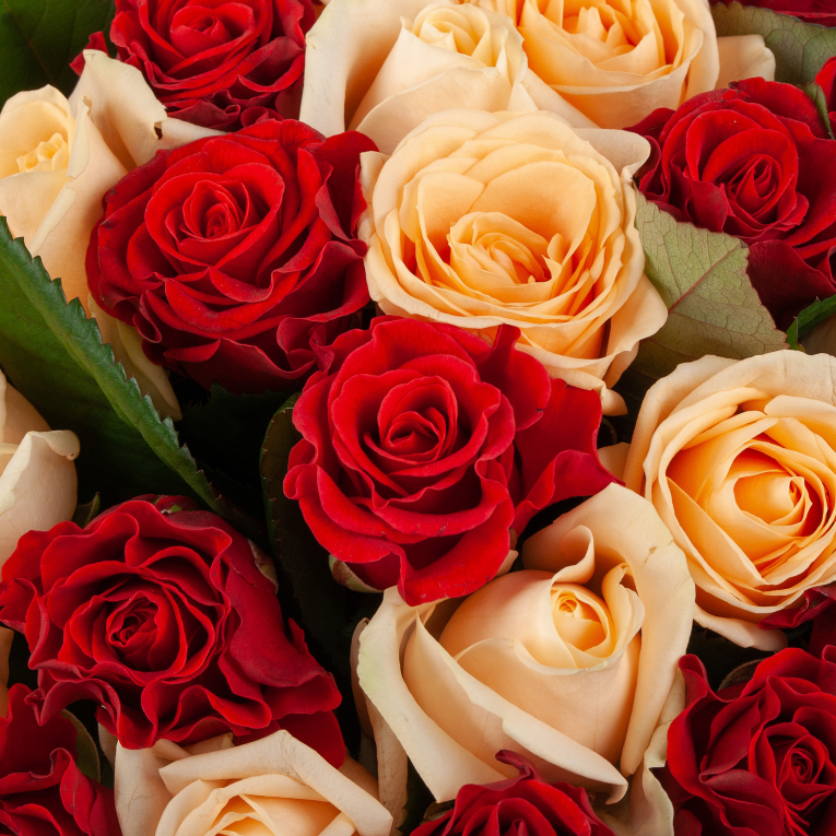 Букет из 51 розы До скорой встречи