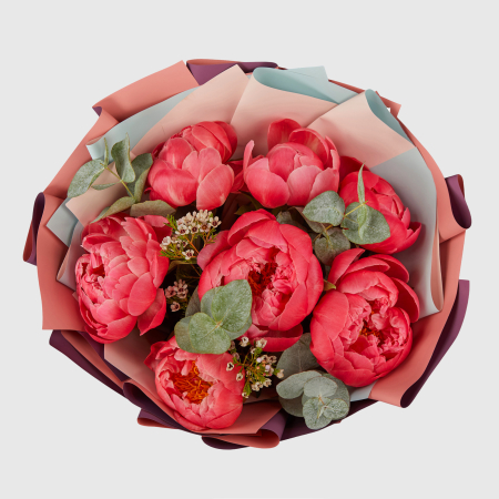Букет из 7 пионов Санта Лючия