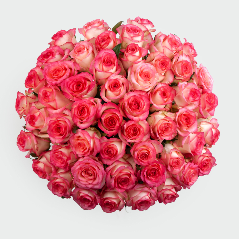 Букет из 51 розы Аллегория