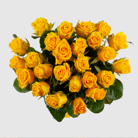 Букет из 25 роз Золото любви