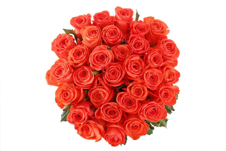 Букет 31 роза Вау