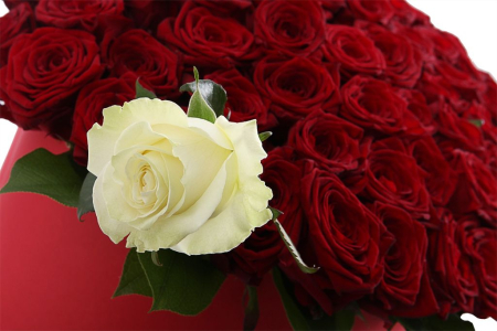 Букет Послание Амура в коробке