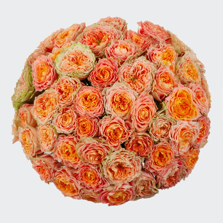 Букет 51 роза Море изобилия