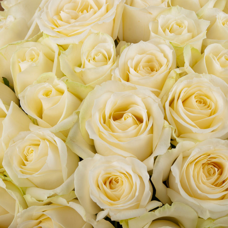 Букет из 51 розы в крафте Мелодия любви