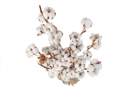 Букет из хлопка Снежки