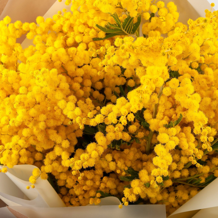 Букет мимозы Теплые объятия (мини)