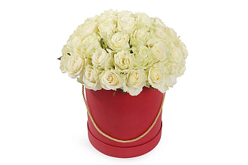 Букет 51 роза Мондиаль в красной шляпной коробке