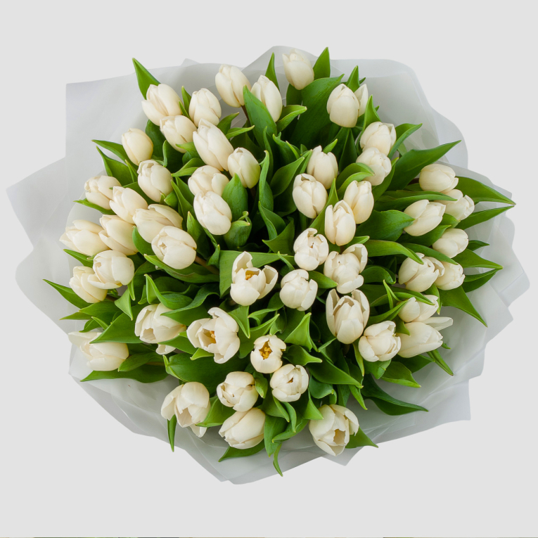 Букет 51 тюльпан Белое облако
