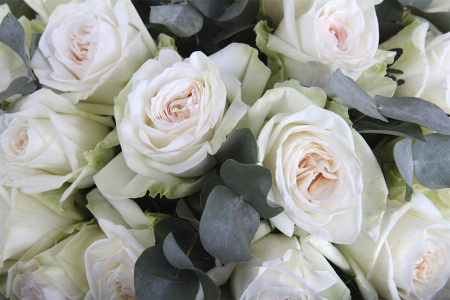 Букет При свете дня