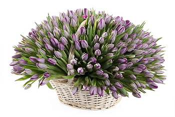 Букет Великая иллюзия в корзине