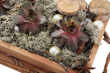 Композиция Илиада