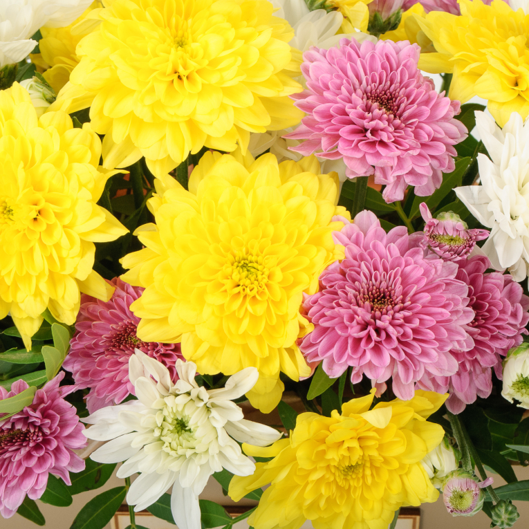 Букет в ящике Цветочный коктейль