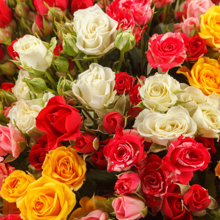 Букет роз 50 первых поцелуев + Десерт в ПОДАРОК!