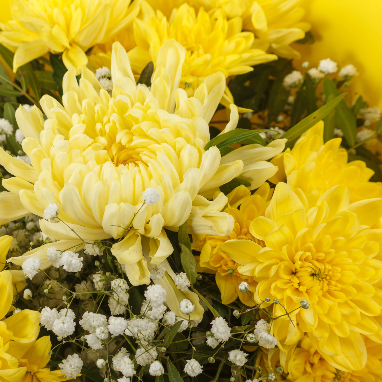 Букет Желтый бархат (мини)