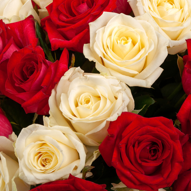 Букет из 51 розы Вера и любовь