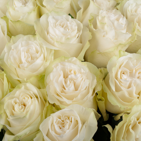 Букет 25 роз Мунстоун (Эквадор), 60 см