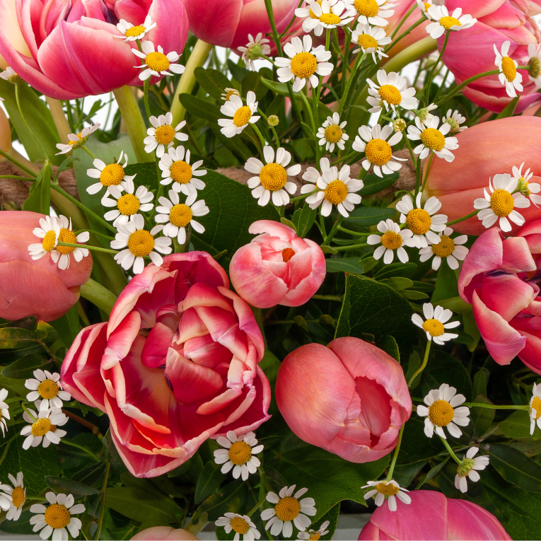 Букет в кашпо Встреча на рассвете