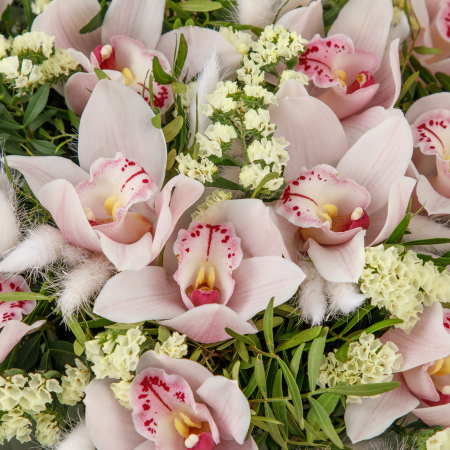 Букет Тропическое утро