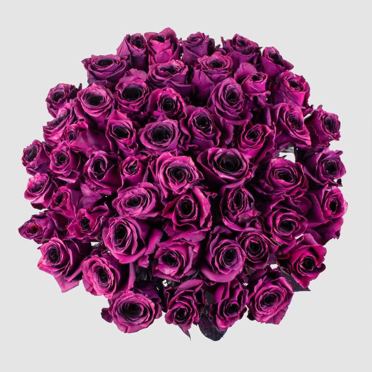 Букет 51 роза Одна любовь