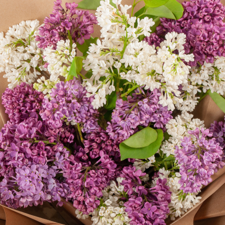 Букет Сирень в цвету (мини)