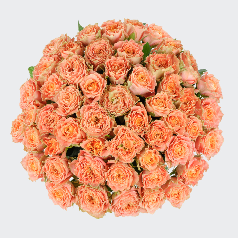 Букет из 51 розы Персиковое удовольствие