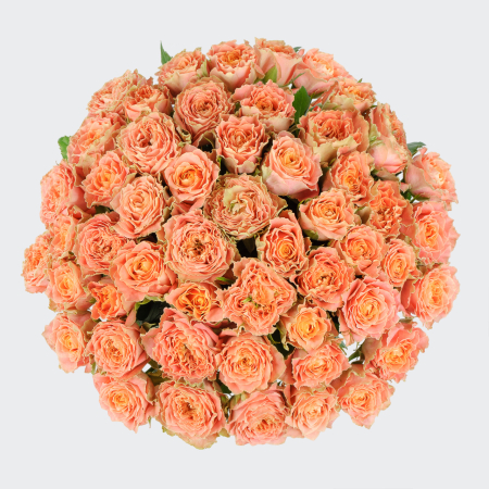 Букет из 51 розы Персиковое удовольствие