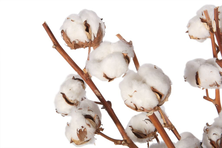 Букет из хлопка Снежки