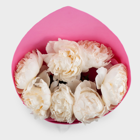 Букет из 7 пионов Песня ангела