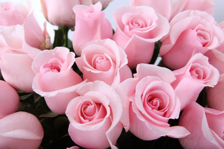 Букет 51 роза Титаник