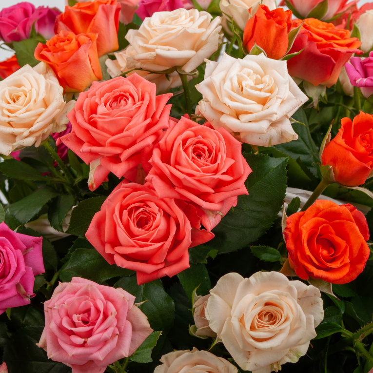 Букет из 51 розы в корзине Первый поцелуй