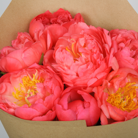 Букет 7 пионов В порыве чувств