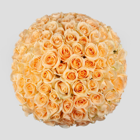 Букет в голубой коробке Утренняя соната (101 роза)